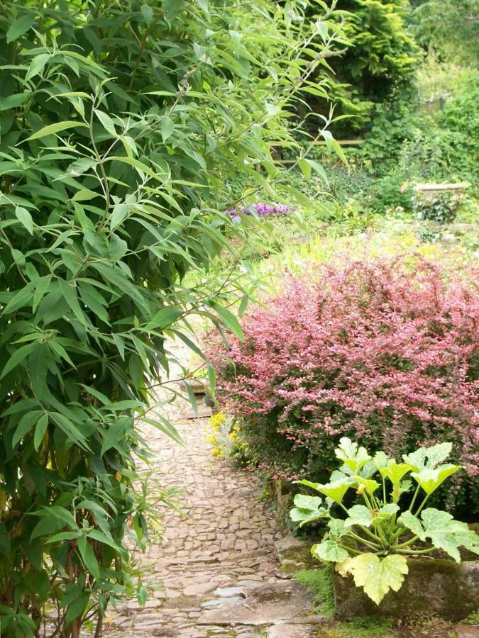 Middletown Farmhouse B&B Okehampton Esterno foto