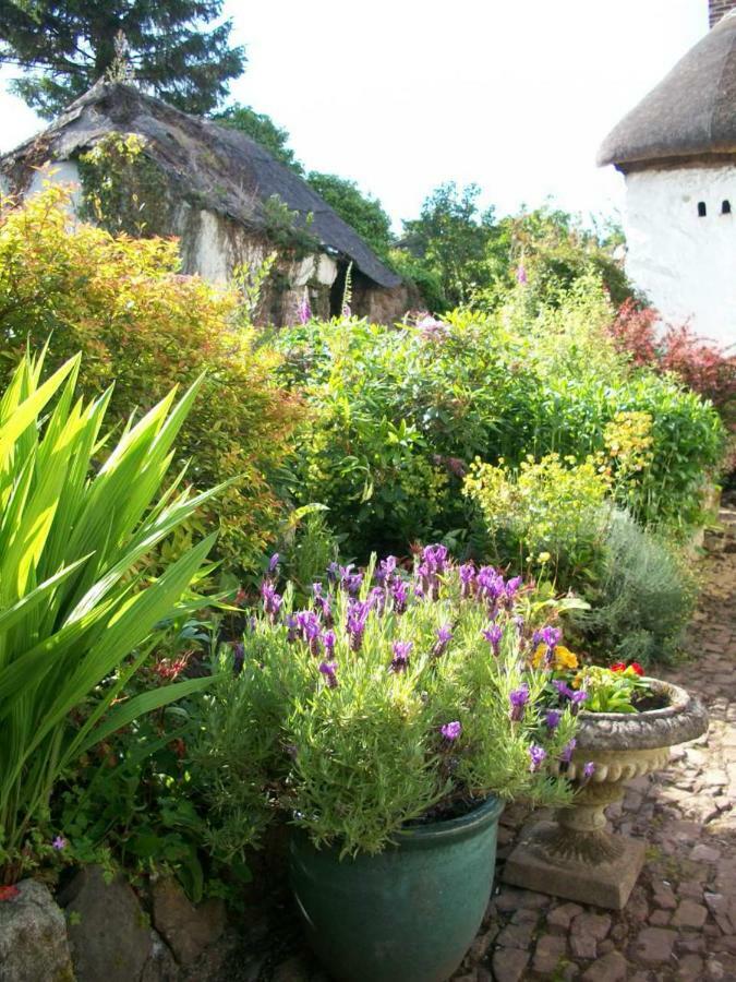 Middletown Farmhouse B&B Okehampton Esterno foto