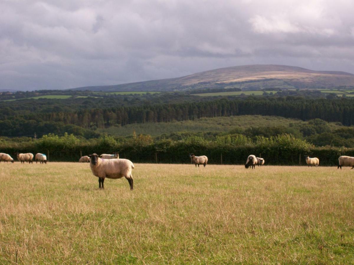 Middletown Farmhouse B&B Okehampton Esterno foto